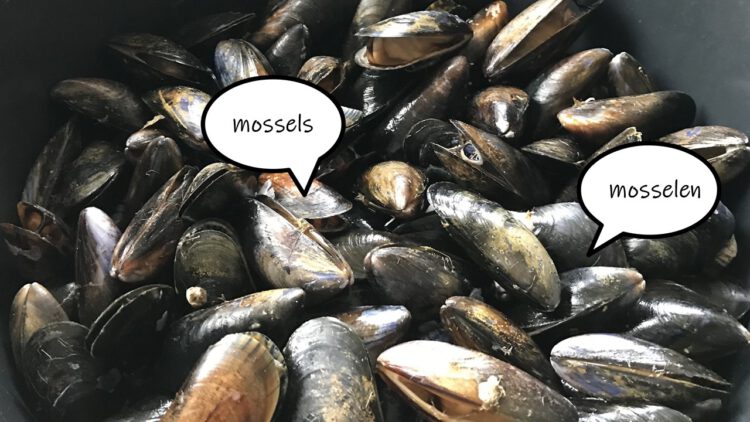 Mosselen of mossels?